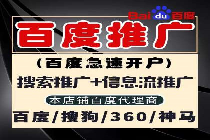 案例解析：SEM托管助力电商销售增长